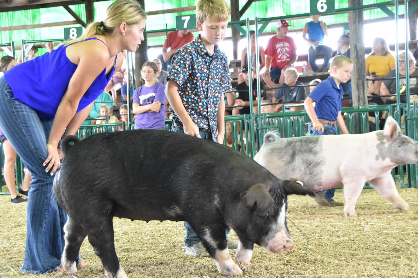 Randolph County 4H Fairgrounds Capital Improvement Projects